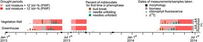 Compensatory Growth of Scots Pine Seedlings Mitigates Impacts of Multiple Droughts Within and Across Years